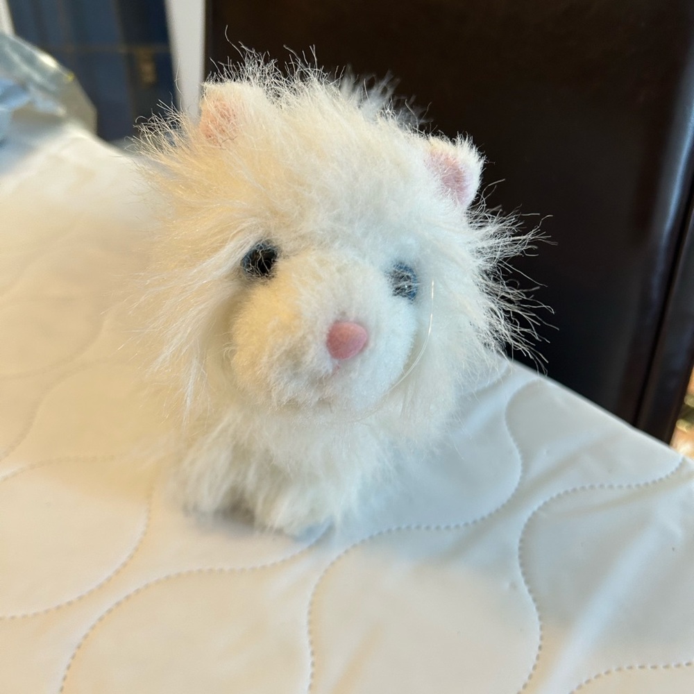 Webkinz Persian cat